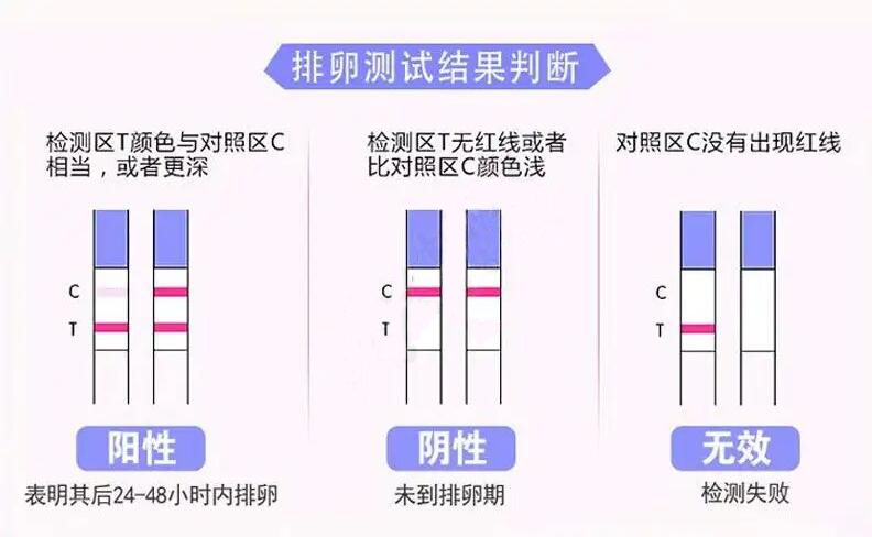 怀孕期间如何检测排卵