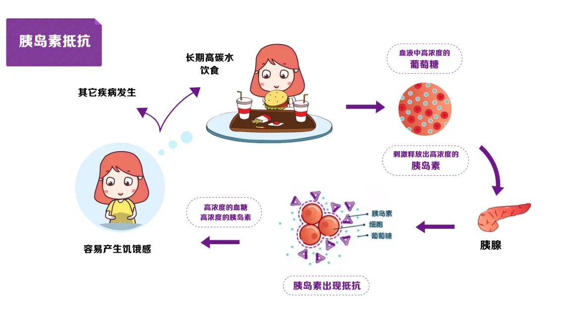 胰岛素抵抗试管成功率高吗