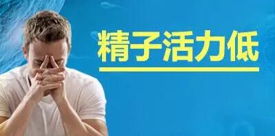 精子活力低怎么提高精子质量吃什么药?