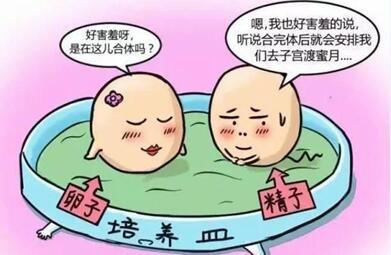 卵巢早衰女性可以用自己的卵子做试管婴儿选择胎儿性别吗?