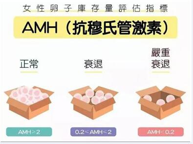 amh值只有0.21自然怀孕几率很小,做试管并非没怀孕希望!