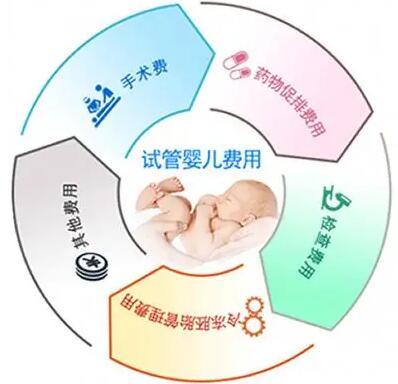 郑州做一次试管婴儿费用大约是多少钱?附2023郑大一附院最新试管价目表!