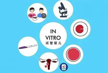 郑州做一次试管婴儿费用大约是多少钱?附2023郑大一附院最新试管价目表!