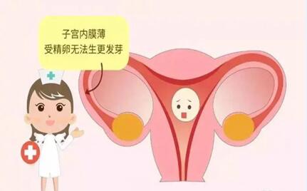 盘点子宫内膜薄是什么原因引起?子宫内膜薄如何调理可以提高试管成功率?