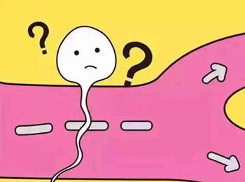 国内借卵生子的条件有哪些?2023年做借卵生子有没有年龄限制?