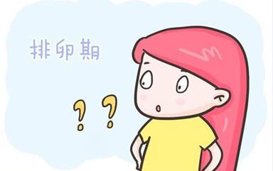 女性不排卵想要怀孕该怎么办呢?试管助孕给你带来生育希望!