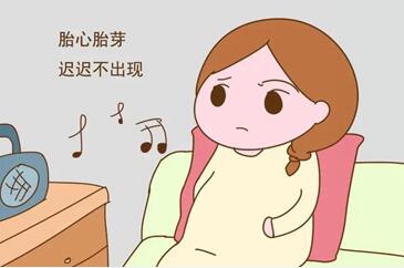 怀孕初期吃什么对胎心胎芽发育好?