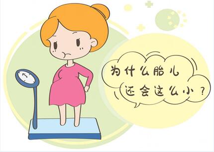 胎儿的大小取决于什么?胎宝宝体重怎么算比较准?