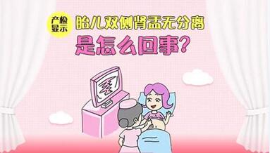 胎儿双肾盂无分离是什么意思?双肾盂的孩子可以要吗?