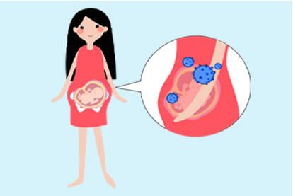 孕妇病毒感染会影响胎儿吗?病毒感染会引起宝宝先天性心脏病吗?