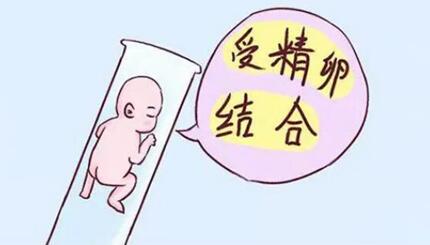 河南郑州靠谱的私立供卵试管医院最新名单,附2023供卵生男孩费用明细一览!
