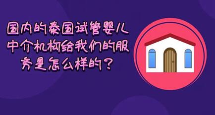 赴泰做试管婴儿是自助好还是找中介好?自助去泰国试管的缺点!