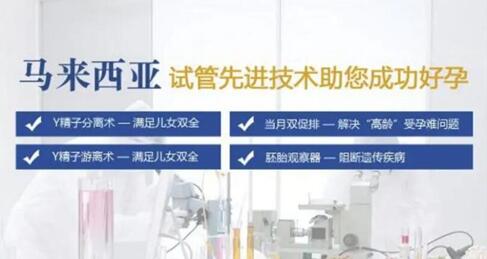 马来西亚做试管婴儿一次成功的几率高吗?