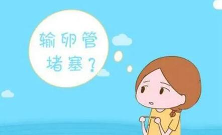 导致输卵管性不孕的原因有哪些?长期吃素会降低生育能力吗?