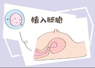 女性朋友做第三代试管婴儿胚移植痛苦吗?全面的不孕不育检查!