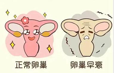 卵巢早衰性不孕是怎么回事?卵巢早衰性不孕怎么办?