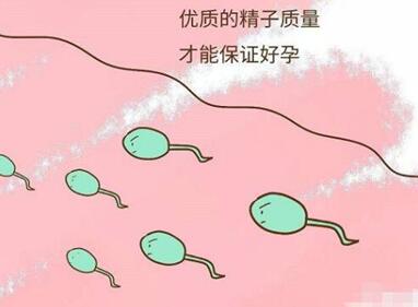 哪些日常行为会导致男人精子畸形?七件难堪事儿会影响到男性的生育能力!