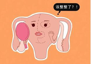 治疗子宫畸形的多少钱?子宫畸形的饮食禁忌有哪些?