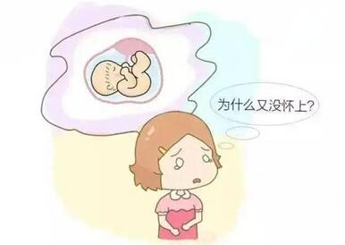 多囊做试管婴儿要注意什么?多囊卵巢饮食需要注意什么问题?