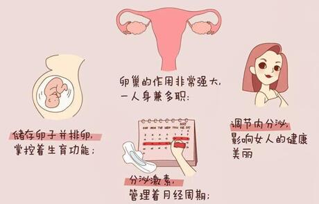 出现卵巢早衰该怎么办?卵巢早衰有什么办法能补救?