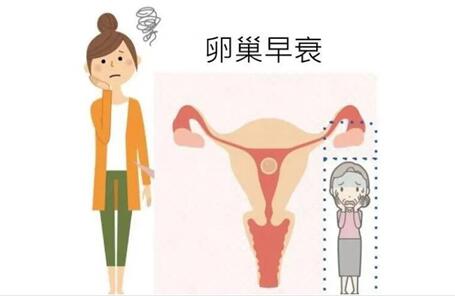 八大症状提示卵巢早衰,多吃这些食物保护卵巢最好!