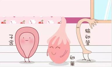 33岁卵巢早衰怀孕几率大吗?想要生育就一定要选择做试管婴儿吗?