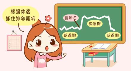 备孕遇到排卵障碍怎么办?为什么女性会出现排卵障碍?