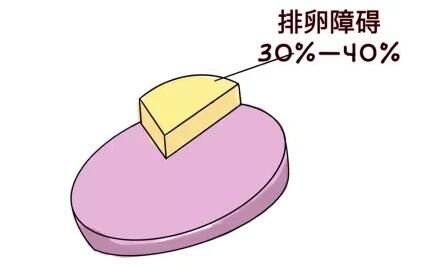导致排卵障碍的原因是什么?遇到排卵障碍如何快速怀孕?