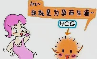 多囊患者孕酮低怎么办?多囊应该怎么调理?