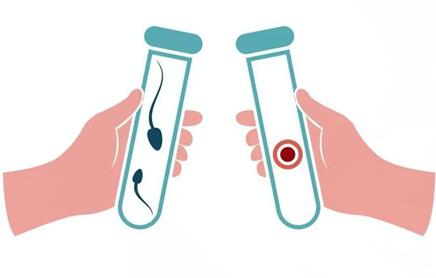 做完试管怀孕了为什么会生化?做试管婴儿生化妊娠怎样调理身体?