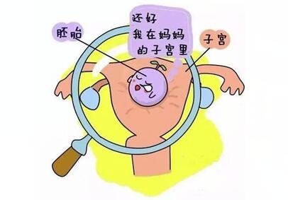 备孕期间检查b超是为了检查什么?