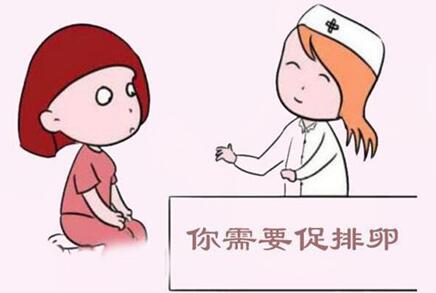 多囊促排前需要做什么准备?对怀孕影响大吗?