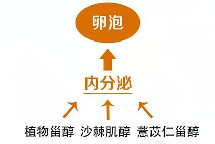 多囊卵巢吃坤巢新有用吗?坤巢新在多囊卵巢综合征膳食干预中的作用及地位!