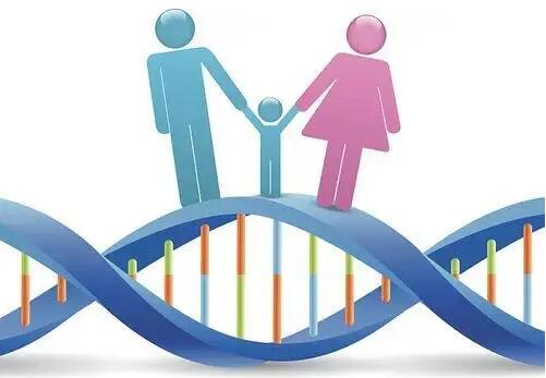 2024郑州供卵助孕生子机构排名新鲜出炉,附郑州最大的供卵机构名单!