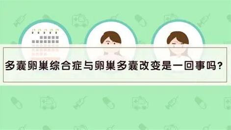 卵巢多囊样改变应该怎么调养身体?
