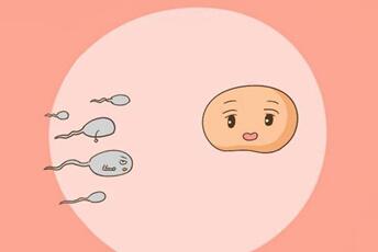 试管婴儿成功率在什么情况下会更高?做试管婴儿怎样才能更省钱?