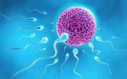 2024西安供卵试管生子助孕医院名单公布,附借卵试管生男孩条件!