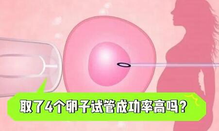 做试管一般有多少个卵泡才能做?试管一般取多少个卵是最好的?