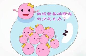 基础卵泡少怎么调理增多?