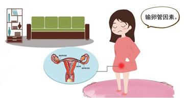 女性不孕不育主要有哪些原因?