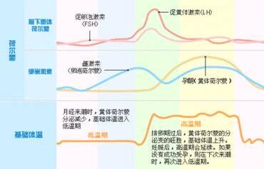 备孕期间fsh促卵泡刺激素偏高可以怀孕吗?