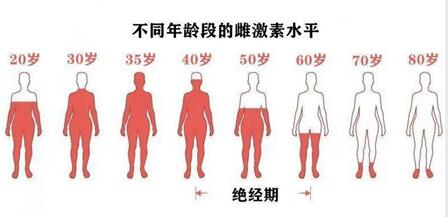 更年期使用雌激素要做什么检查?