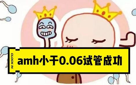 AMH值小于0.06试管有成功的可能性吗?