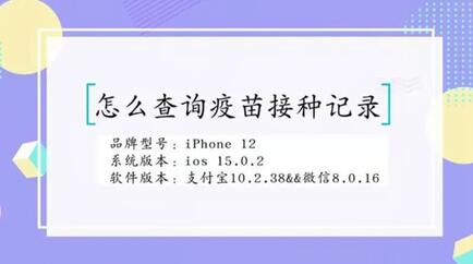 儿童接种记录查询系统，输入身份证号就可一键查询!