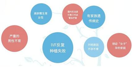 高龄做第三代试管成功率多大?高龄是否做三代试管?