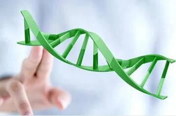 试管婴儿可以筛选胚胎基因吗?人工受孕基因筛选方法!