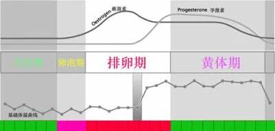 试管婴儿成功率