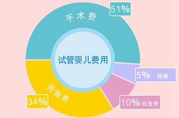 2024年试管婴儿费用价目清单,如何降低试管婴儿费用?