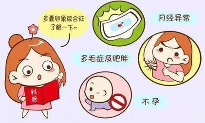 多囊卵巢综合症的卵泡质量差,做试管婴儿的成功率高吗?