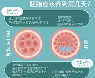 弄清D5冻胚的等级和质量,方可知道移植的成功率高不高!